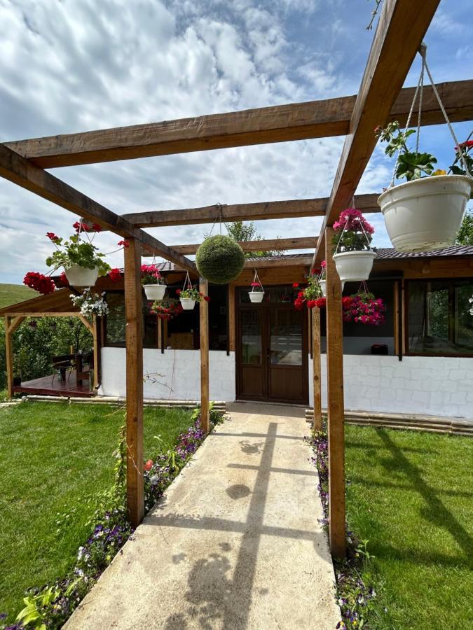 Casa Eden Fit Villa Faget  Exterior photo